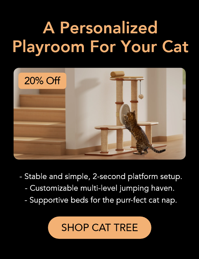 A Personalized Playroom For Your Cat