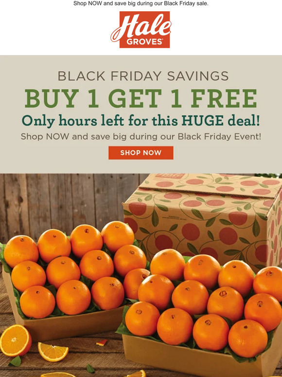 🍊🍊 Buy 1 Get 1 FREE - Only hours left for this HUGE Black Friday deal!