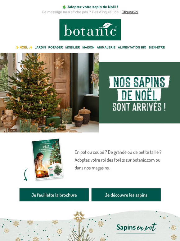 Botanic Nos sapins de Noël sont arrivés dans nos magasins ou sur