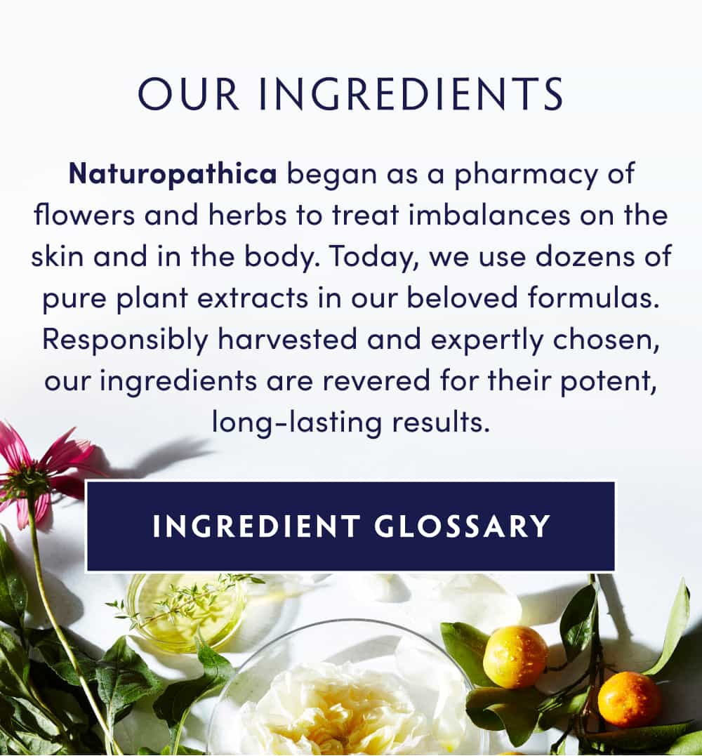 OUR INGREDIENTS Naturopathica began as a pharmacy of flowers and herbs to treat imbalances on the skin and in the body. Today, we use dozens of pure plant extracts in our beloved formulas. Responsibly harvested and expertly chosen, our ingredients are revered for their potent, long-lasting results. INGREDIENT GLOSSARY