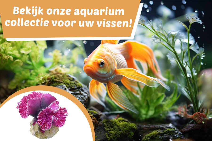 Aquarium