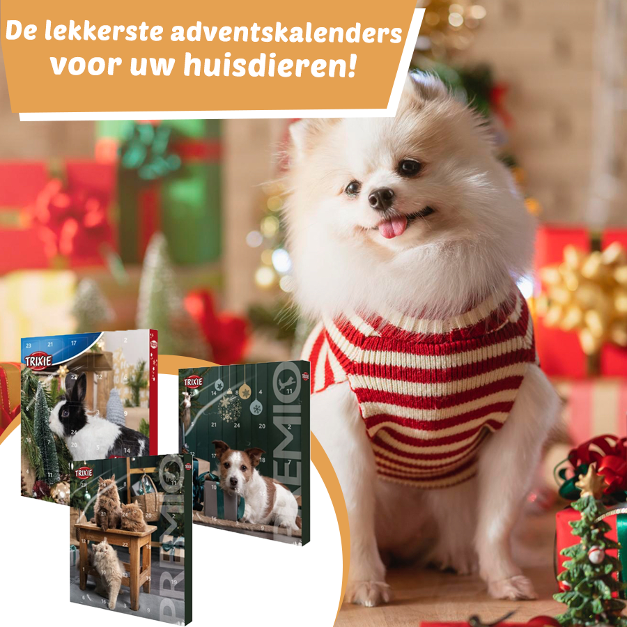 Adventkalender