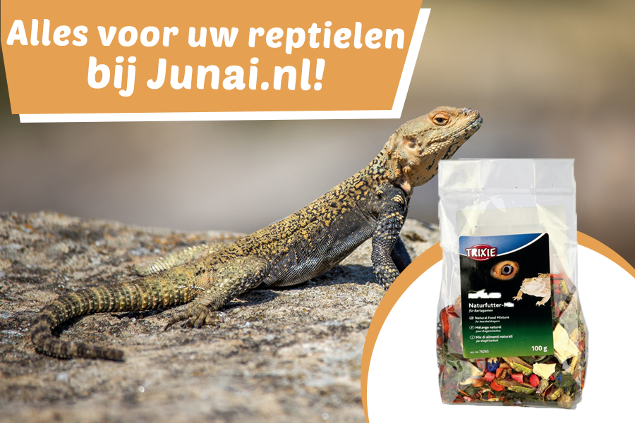 Reptielen