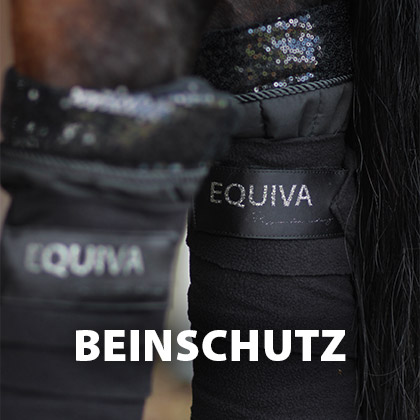 20% Rabatt auf Bein- & Hufschutz