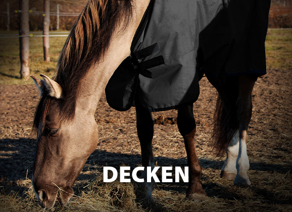20% Rabatt auf Pferdedecken