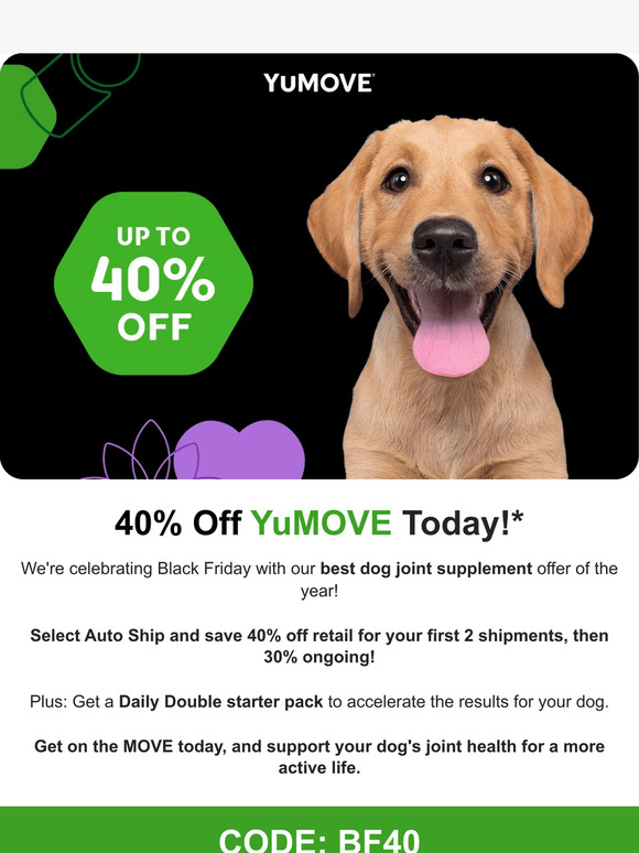 Our Best Dog Joint Supplement Offer this Year!