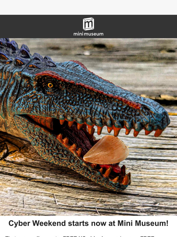 🦷 Get a FREE Fossil Tooth for Black Friday!