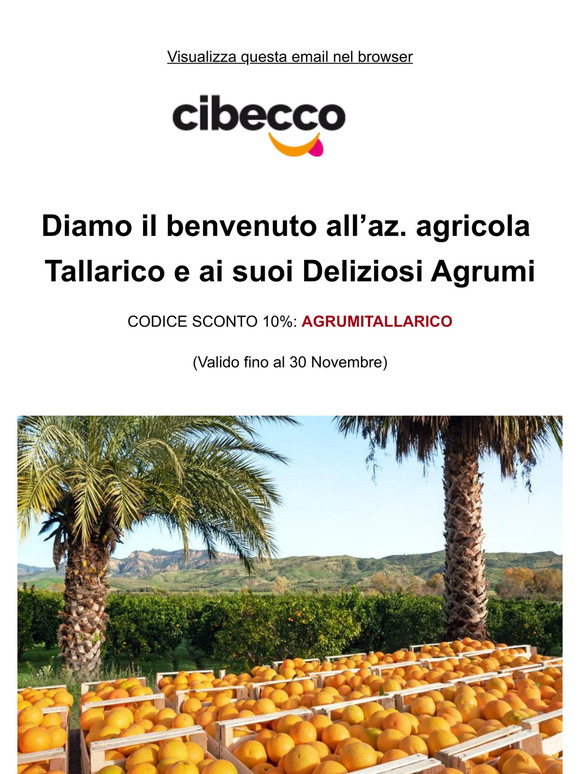 Sconto di Benvenuto sugli Agrumi Tallarico dalla Calabria: Nuovo Produttore
