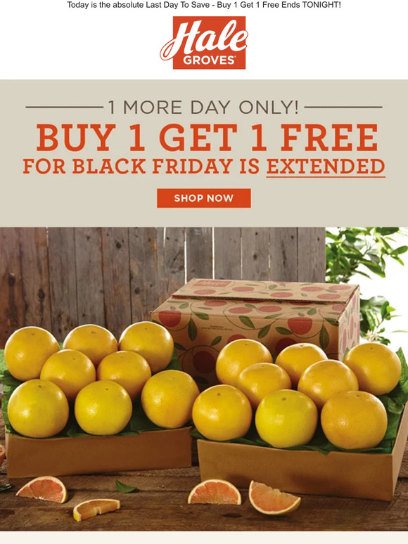 🍊🍊 Buy 1 Get 1 FREE for Black Friday is Extended 1 More Day ONLY!