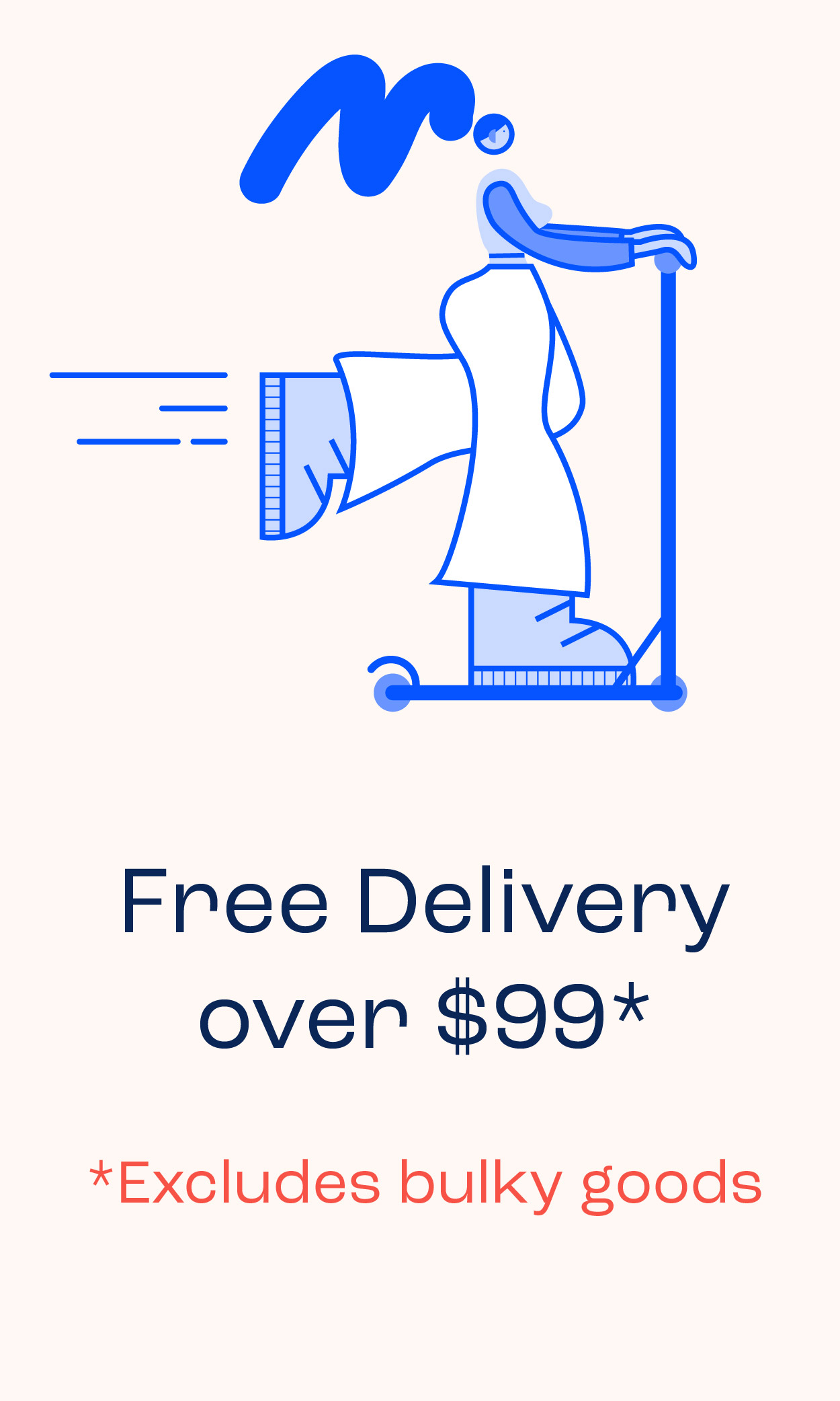 Free Delivery Over $99* excludes bulky goods