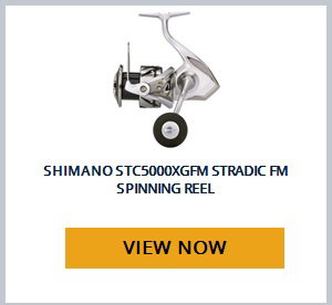 View product recommended for you