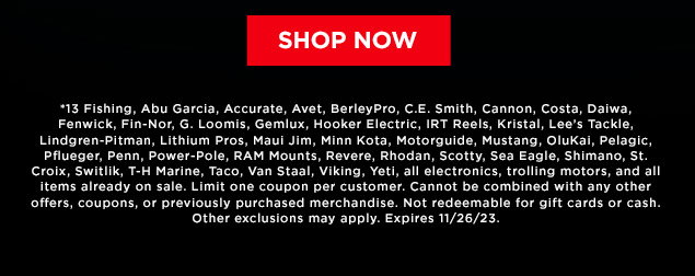 shop now