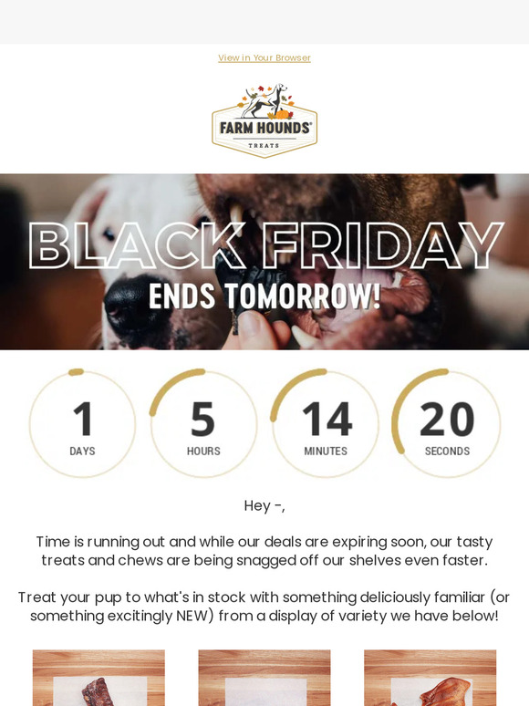 Last Chance! Black Friday Ends Tomorrow 🕒