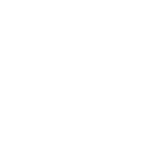 Expertly Handcrafted Boots