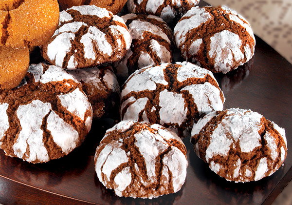 Cocoa Snowflakes 