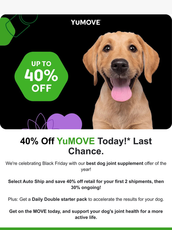 12 Hours Left - Our Best Dog Joint Supplement Offer this Year!