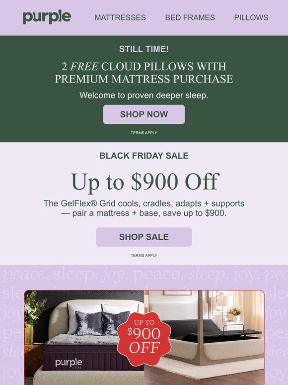 Still ⏰! Black Friday + 2 Free Pillows