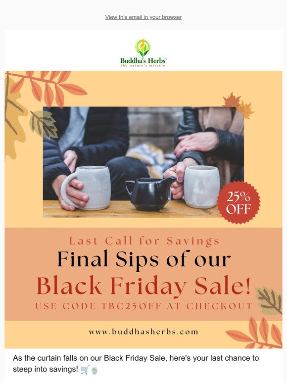 Last Call for Savings: Final Sips of our Black Friday Sale! ☕🌟