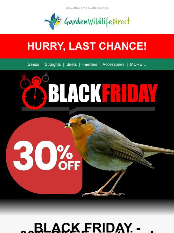 💰HURRY, LAST CHANCE!!! 30% OFF Everything for BLACK FRIDAY!💰