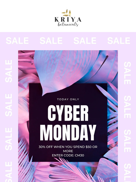 🌟Cyber Monday Savings Inside!