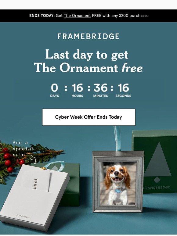 Your last chance for our FREE Ornament