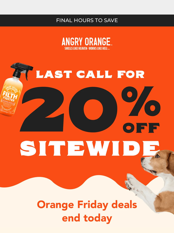 ⚠️ Only a few hours left to save! ⚠️