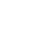 flight
