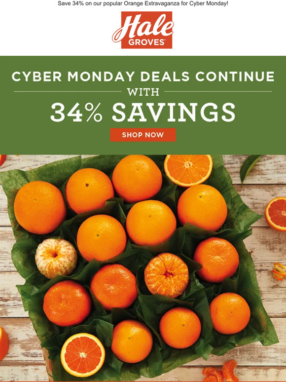 🍊 Our Cyber Monday Deals Continue with 34% Savings!