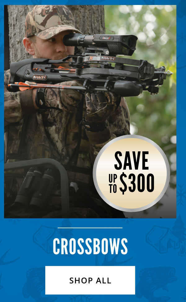Top Deals