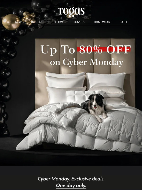 Up to 80% OFF on Cyber Monday