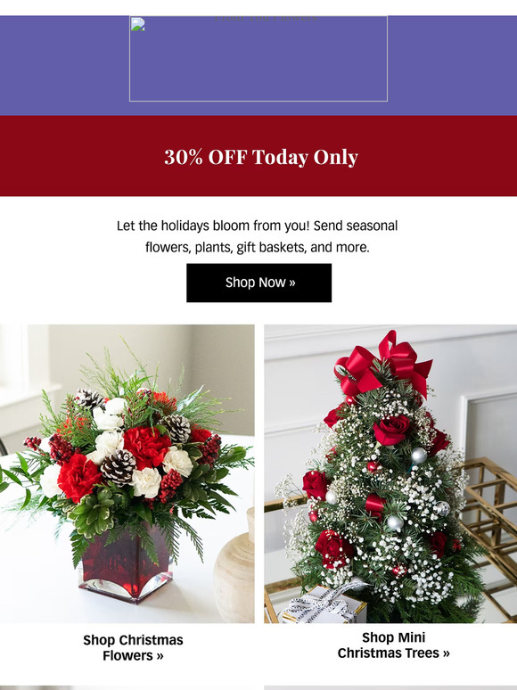 30 Holiday Favorites! 🎄 Christmas Trees & More