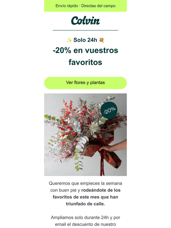 -20% en los favoritos del mes 💐✨ solo 24h