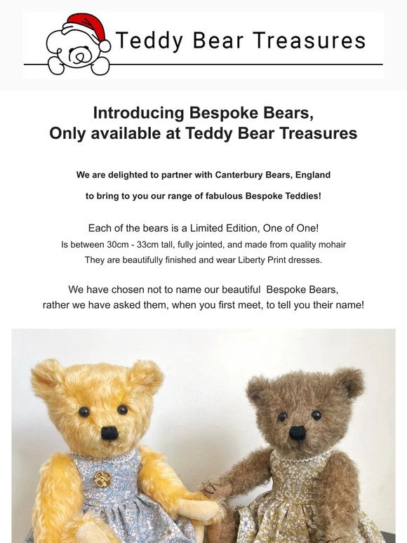 Drum Roll... Drum Roll... Introducing Bespoke Bears 😍