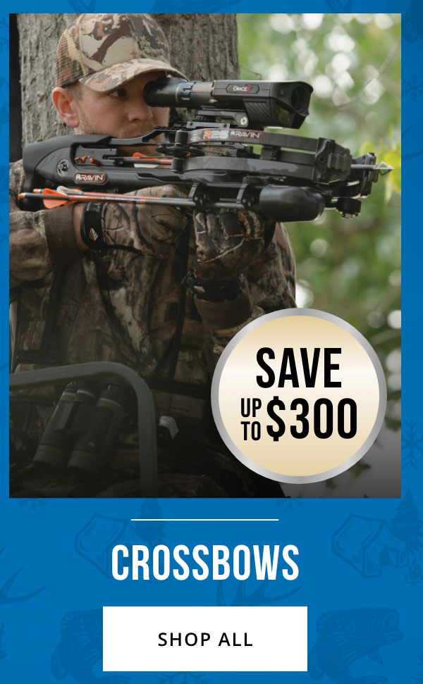 Top Deals