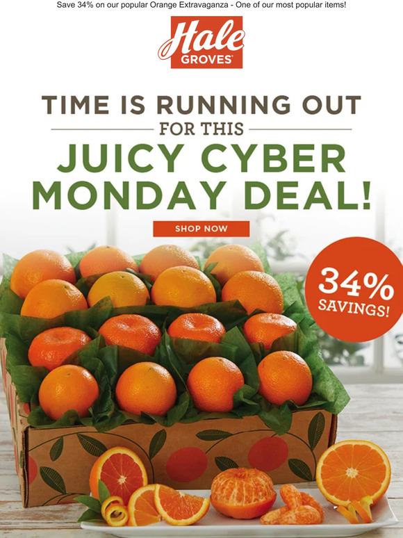 🍊 Time is Running Out for this Juicy Cyber Monday Deal! 🍊
