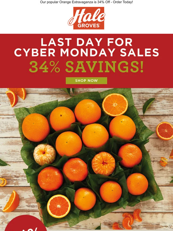 🍊 Last Day for Cyber Monday Sales - 34% Savings! 🍊