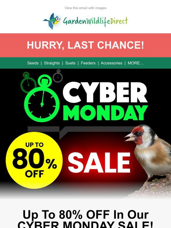 HURRY, LAST CHANCE! 💰 CYBER MONDAY SALE! 💰 Up To 80% OFF - HUGE Savings!!