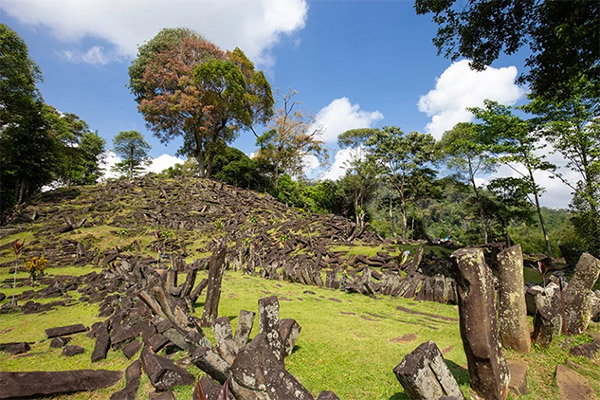 A large number of stone slabs, some toppled, some still standing, cover a lush green hillside surrounded by forest.