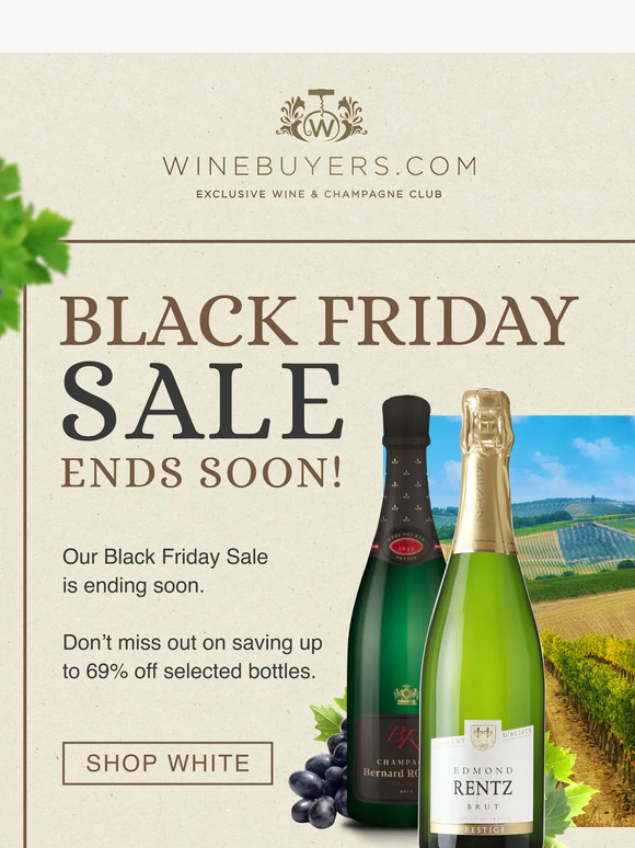 Black Friday Sale Ending Soon