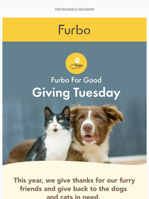Make a Pawsitive impact  💛