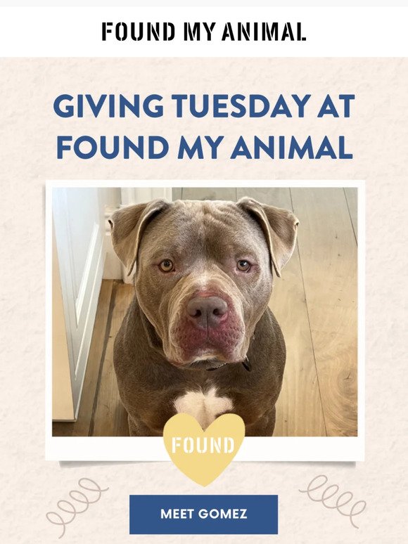 Giving Tuesday At Found My Animal 🧡