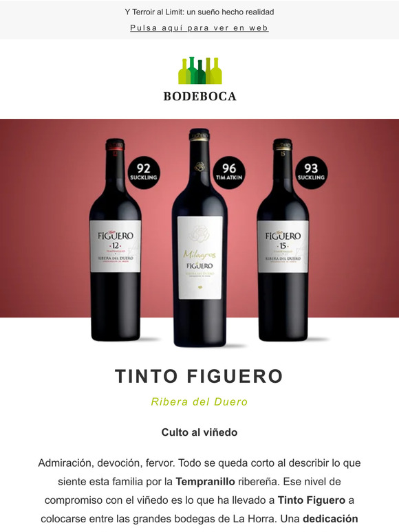 Tinto Figuero: el esperado regreso de un proyecto ribereño muy querido
