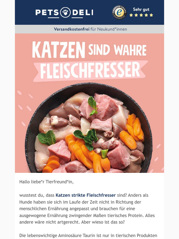 Katze NICHT vegetarisch oder vegan ernähren