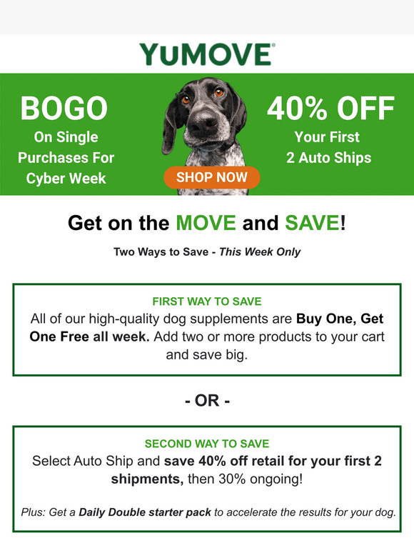Last Chance - BOGO for Cyber Monday! Joint Supplements on Sale Today