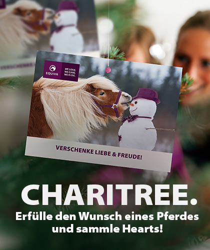 Ein Geschenk für einen Vierbeiner in Not: Unser Charitree in den Stores 