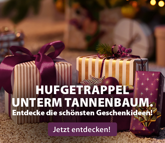 EQUIVA Weihnachtsgeschenke 