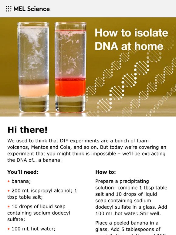 How to isolate DNA at home.