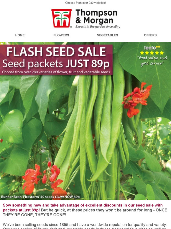 Thompson & SEED PACKETS 89p EACH! 48 HOURS ONLY! Milled