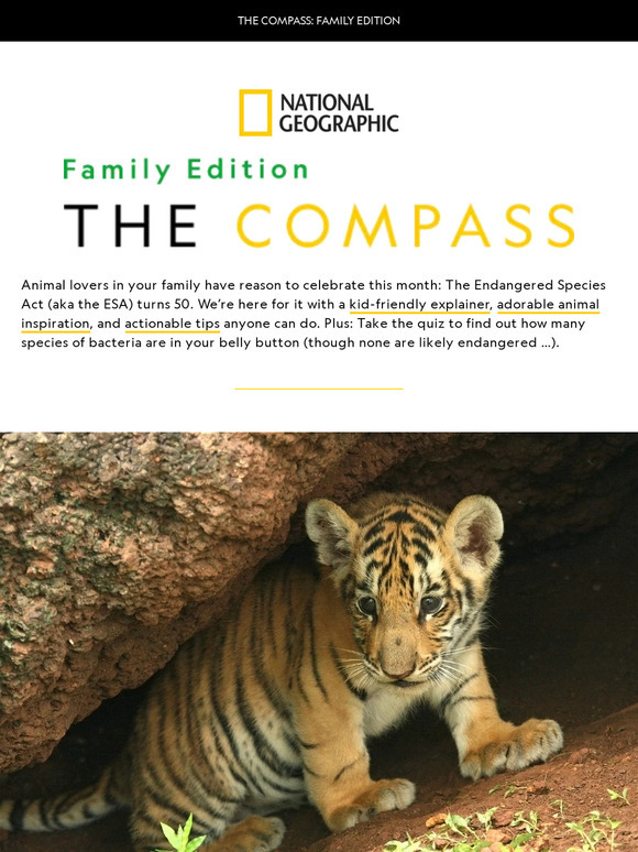 Helping kids help animals, holiday crafts for the family, and a belly-button quiz