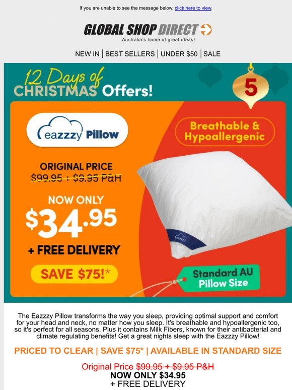 Eazzzy Pillow NOW $34.95 - Originally $109.90 inc P&H